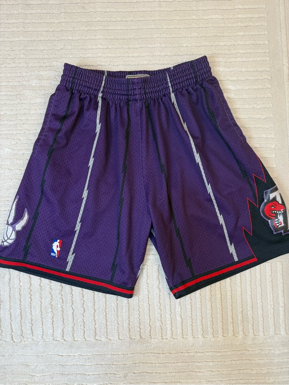 Mitchell & Ness Toronto Raptors 1998 Swingman Shorts Purple Size Large NBA HWC